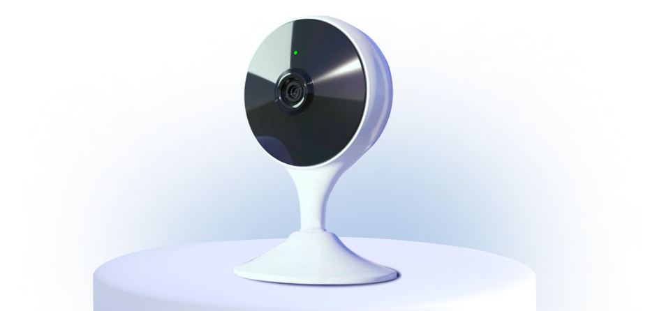 Камера видеонаблюдения в ДНП Ясное